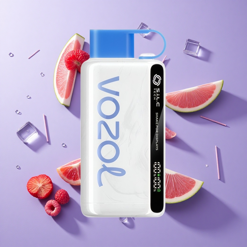 VOZOL STAR 9000/12000 سيجارة إلكترونية ذات استخدام واحد توت أزرق مثلج بشاشة اهتزاز